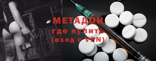 амф Гусь-Хрустальный