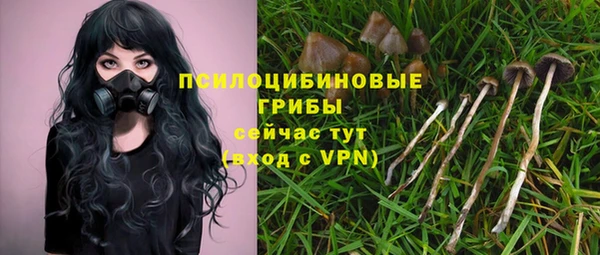 не бодяженный Гусев