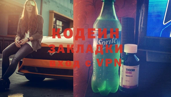 амф Гусь-Хрустальный