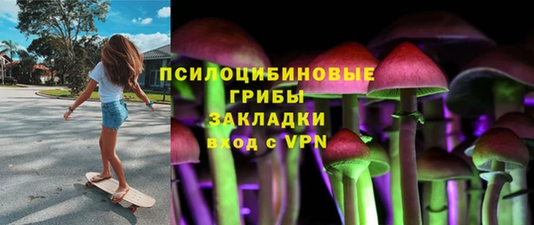 амф Гусь-Хрустальный