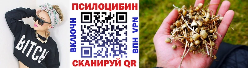 Псилоцибиновые грибы Cubensis  купить  сайты  MEGA   Кызыл 